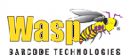 Wasp